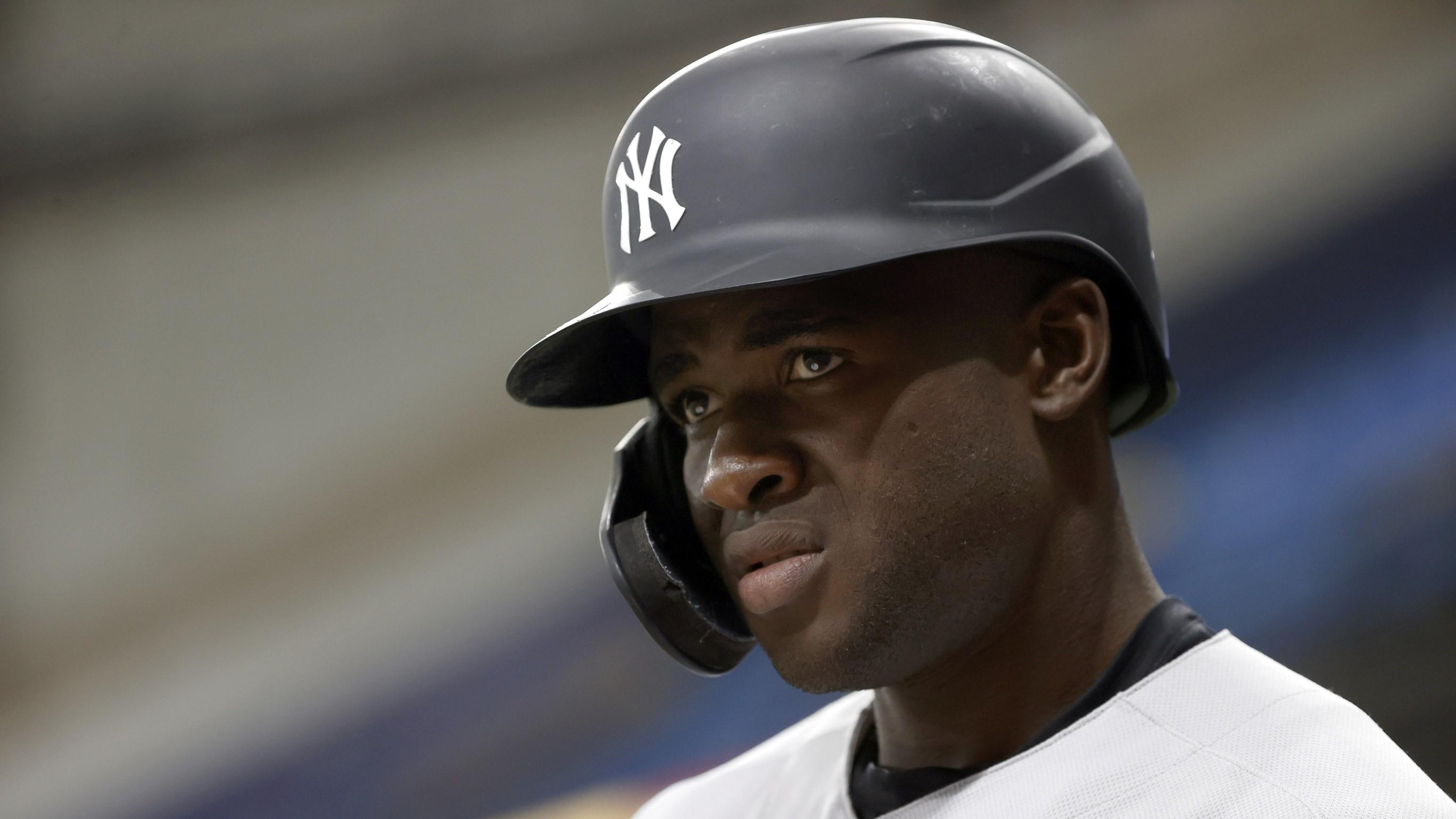 New York Yankees outfielder Estevan Florial (90) looks on during the second inning against the Tampa Bay Rays at Tropicana Field.