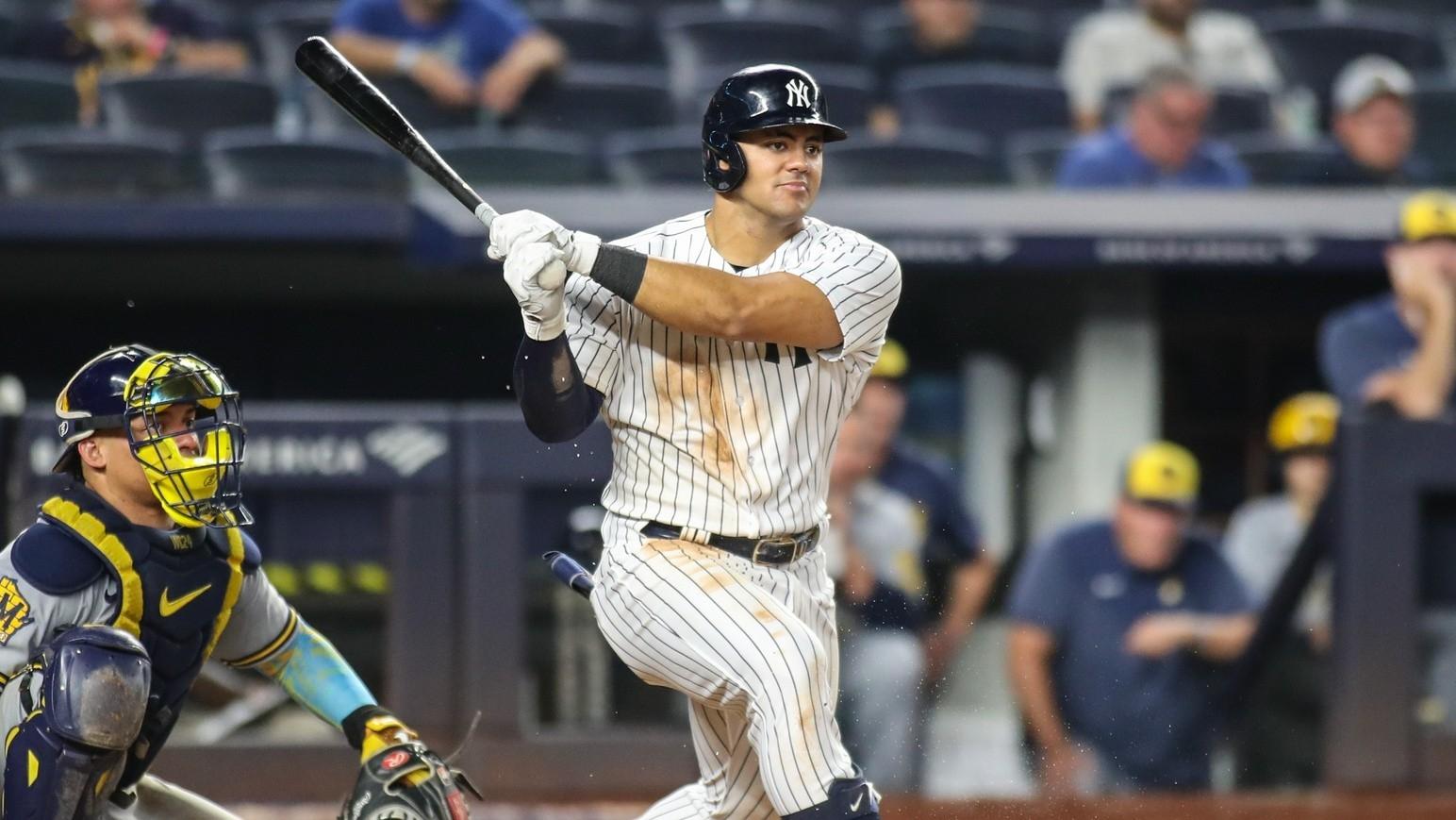 New York Yankees center fielder Jasson Dominguez (89) at Yankee Stadium.